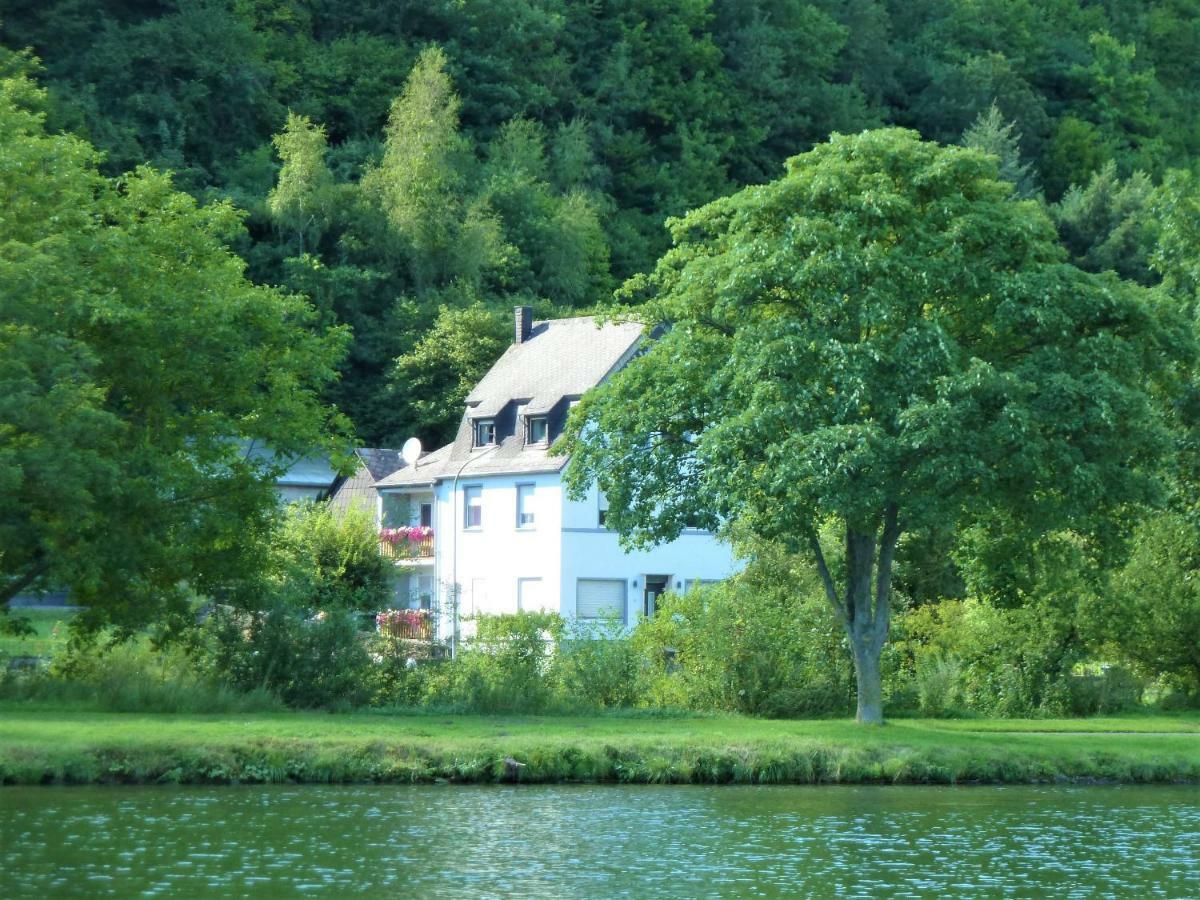 Haus Moselwiese Alf Exterior foto